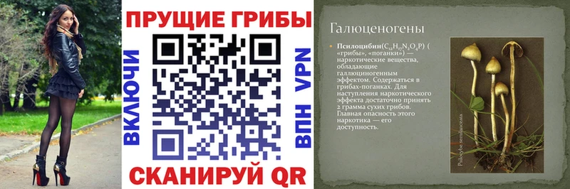 Галлюциногенные грибы мицелий Малоархангельск